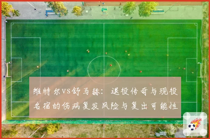 维特尔vs舒马赫：退役传奇与现役名宿的伤病复发风险与复出可能性对比